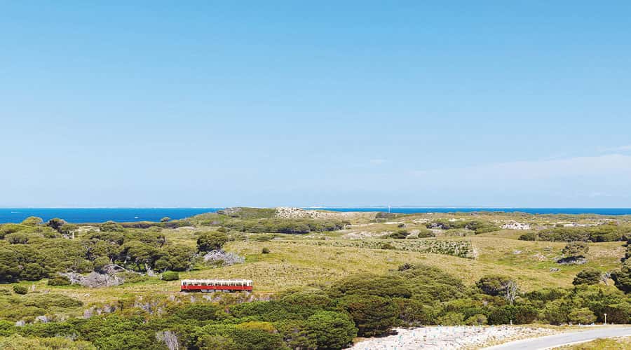 Rottnest Island: Grand Bus and Train Tour with Lunch - Jeannies Lookout and Mabel Cove