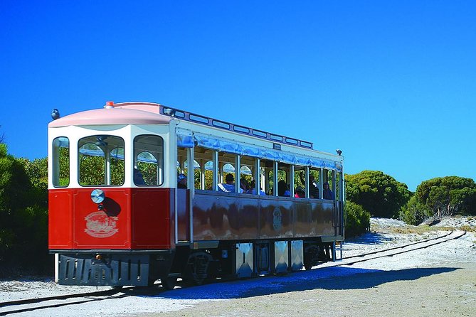 Rottnest Island Grand Tour Including Lunch and Historical Train Ride - Getting from the ferry to the 11:30 start