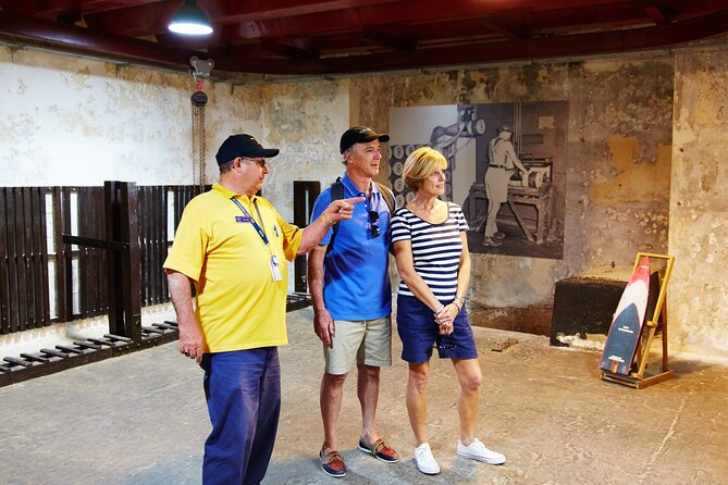Rottnest Island Historical Train and Tunnel Tour from Hillarys Boat Harbour - Why Oliver Hill is worth leaving the beaches
