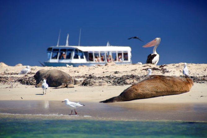 Rottnest Island Historical Train and Tunnel Tour from Hillarys Boat Harbour - Inside the Oliver Hill Battery and tunnels