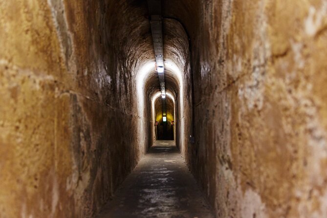 Rottnest Island Historical Train and Tunnel Tour from Hillarys Boat Harbour - Is the $93.24 price good value?