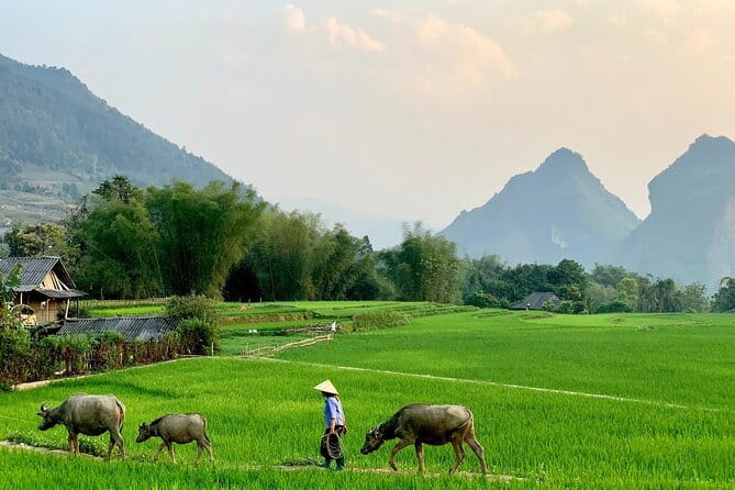 Sa Pa Trekking 2 Days 3 Nights Homestay by Night Train - Why this Sa Pa trip feels different from a quick day visit