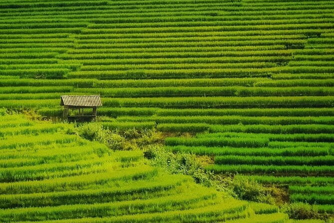Sa Pa Trekking 2 Days 3 Nights Homestay by Night Train - Day one: from Vega Travel’s Hanoi office to the night train