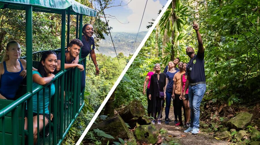 Saint Lucia: Aerial Tram Tour at Rainforest Adventures - Rising above Saint Lucia’s forest
