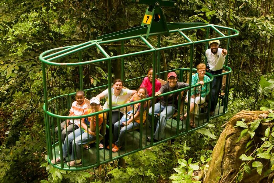 Saint Lucia: Aerial Tram Tour at Rainforest Adventures - What the aerial tram ride is really like