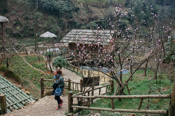 Sapa 2 Days 1 night By Bus/Train - Overnight in Hotel 3* With Mountain View - Who will get the most from this trip
