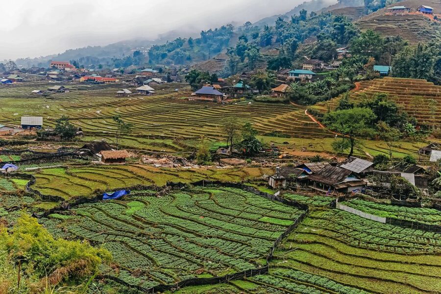 Sapa: 3-Day, 3-Night Trek and Hotel with Overnight Train - Key points to know before booking