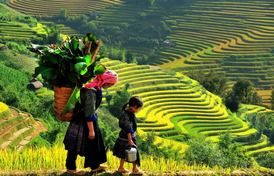 Sapa: 3-Day, 3-Night Trek and Hotel with Overnight Train - Sin Chai village and your first morning in Sapa