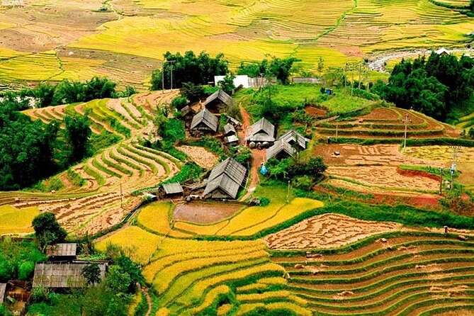 Sapa 3 Days Trekking Tour ( Overnight Train + Homestay + Hotel ) - Morning arrival in Sapa and the Y Linh Ho trail