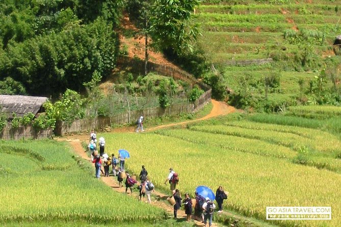 Sapa - Bac Ha Trek Tour - Night Train & Bus & Homestay overnight - Why this route works for a short Sapa visit