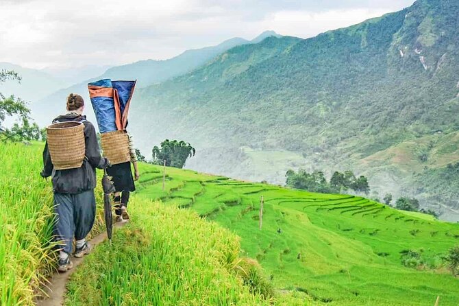 Sapa Trek Tour with Sleeper Bus/Night Train - Overnight at Hotel - Ta Van Village and a different rural setting