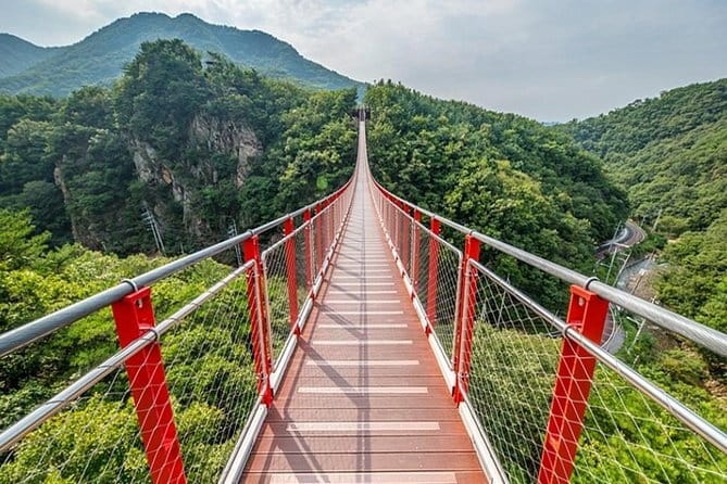 Scenic Escape: Nami Island, Garden of Morning Calm, and Rail Bike - Who will get the most from this outing?