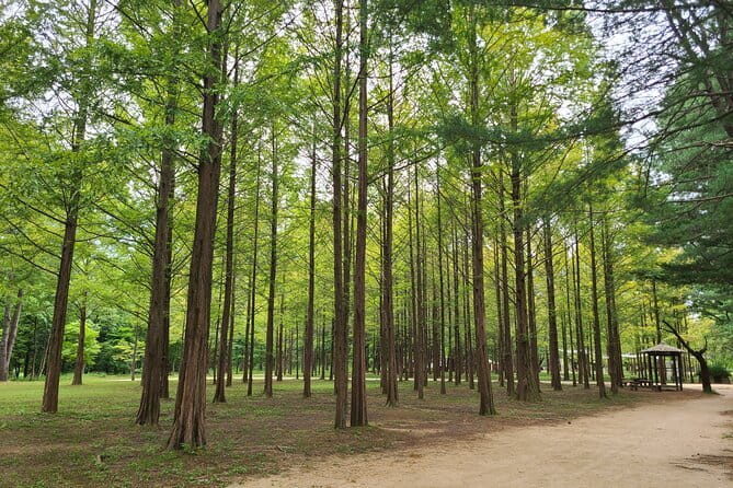 Scenic Escape: Nami Island, Garden of Morning Calm, and Rail Bike - Gangchon Rail Park and the 8.5-kilometer ride
