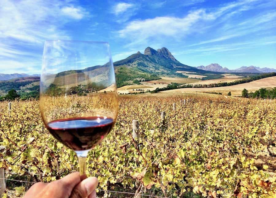 SCHEDULED FRANSCHHOEK WINE TRAM EXPERIENCE (by group size) - What to bring for the tram and vineyards