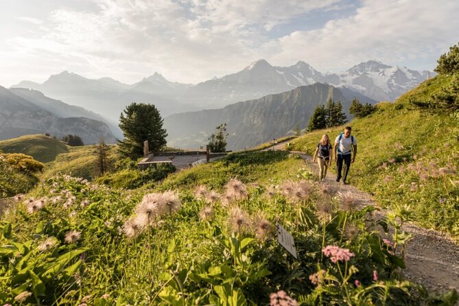 Schynige Platte Cogwheel Railway Return Ticket - Should you book the Schynige Platte return ticket?