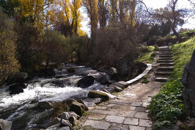 Segovia with Alcazar Guided Tour by High-Speed Train from Madrid - What the private guide adds