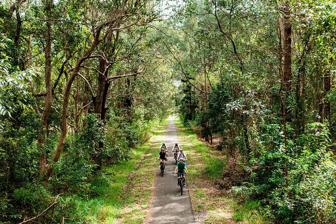 Self Guide E Bike Tour - Husk Distillery, Rainforest & Rail Trail - The Burringbar Tunnel and Stokers Siding