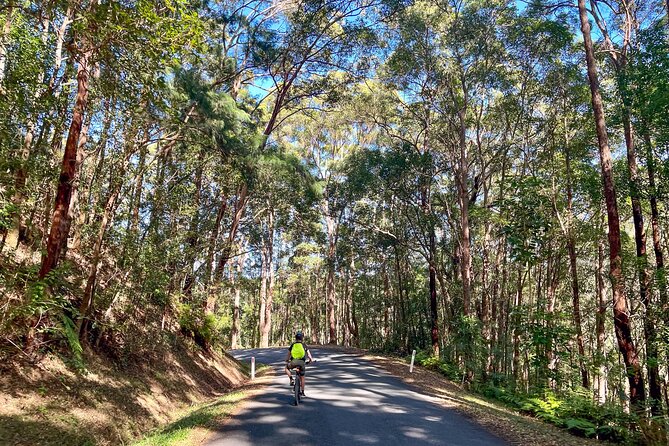 Self Guide E Bike Tour - Husk Distillery, Rainforest & Rail Trail - Optional art and food in Murwillumbah