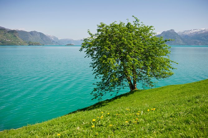 Self-Guided 22-Hour Round Trip From Oslo To Sognefjord With Flåm Railway - How much value do you get for $537.58?