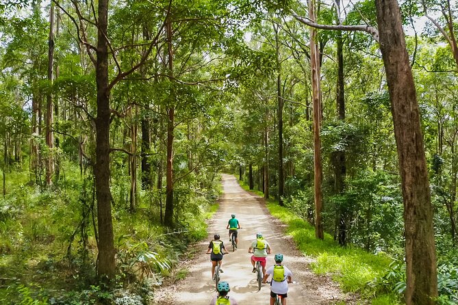 Self Guided E Bike Tour - Unicorn Falls, Rainforest & Rail Trail - Key points before you book