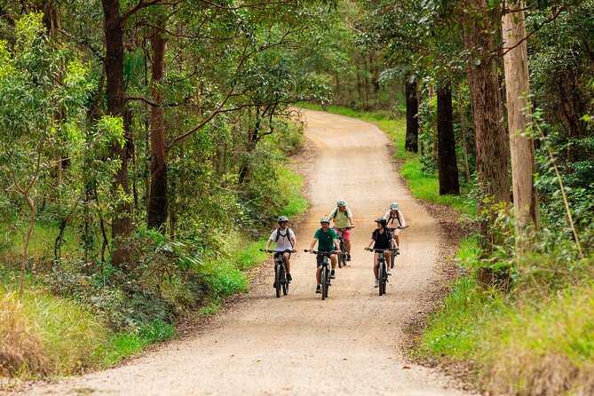 Self Guided E Bike Tour - Unicorn Falls, Rainforest & Rail Trail - The Pocket and the final miles