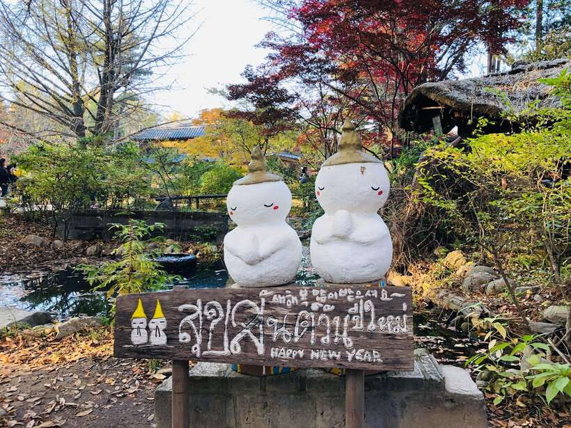 Seoul: Alpaca, Nami, Morning Calm or Eobi (+Rail Bike) - Transport, meeting points, and the long day