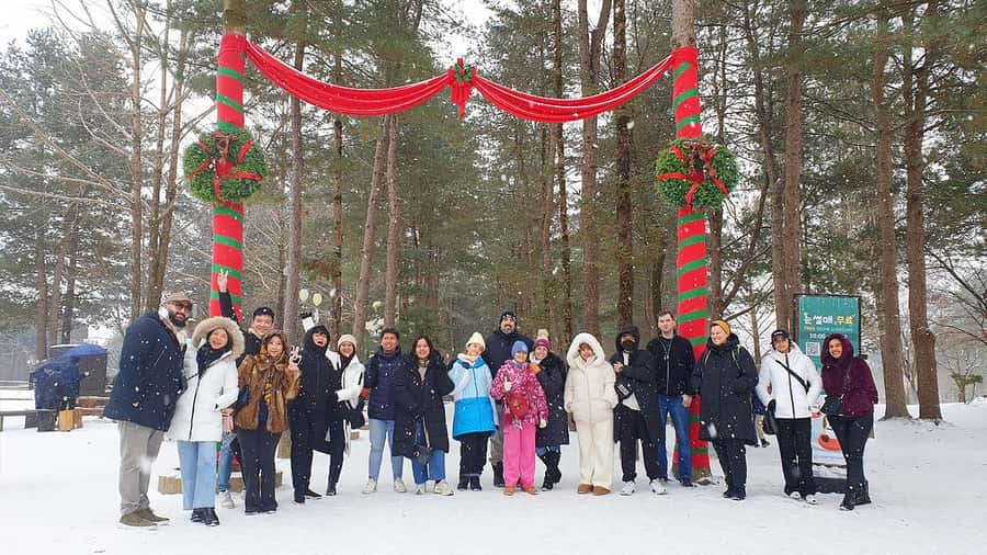 Seoul: Nami, Rail Bike, Morning Garden (+Healing Park) - Nami Island: the day’s main walking stop