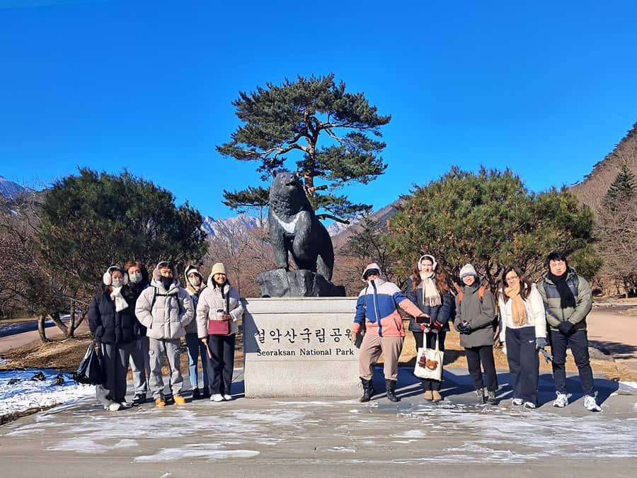 Seoul: Nami, Rail Bike, Morning Garden (+Healing Park) - The optional Starlight Garden evening