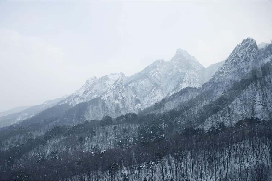 Seoul: Nami, Rail Bike, Morning Garden (+Healing Park) - Starting from Seoul with fewer transport puzzles