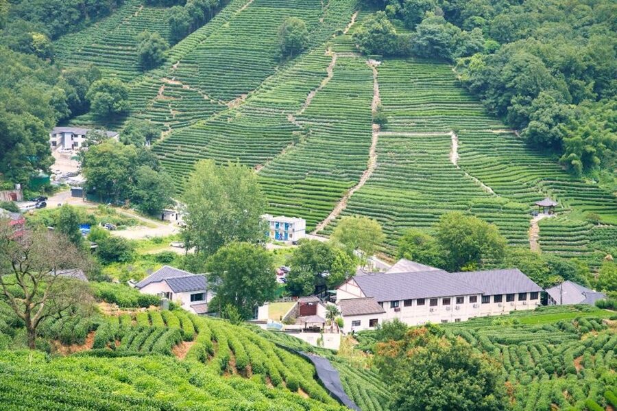 Shanghai: Private Guided Tour to Hangzhou by Bullet Train - West Lake and the 45-minute boat ride