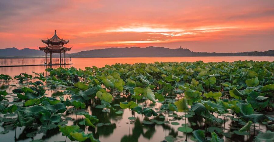 Shanghai: Private Guided Tour to Hangzhou by Bullet Train - Flexible alternatives for a second visit