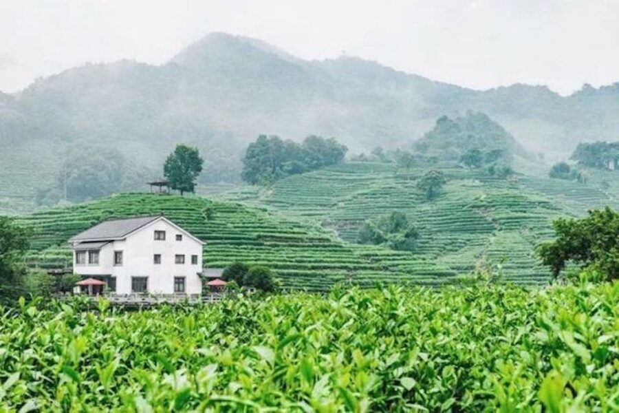 Shanghai: Private Guided Tour to Hangzhou by Bullet Train - Who will enjoy this Hangzhou day