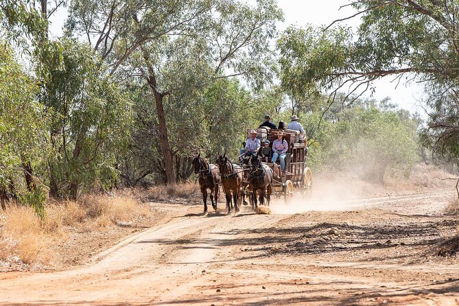 Silver-Tails Rail Sunset With Smithy's Dinner and Show - Should you book Silver-Tails Rail Sunset with Smithy’s Dinner and Show?