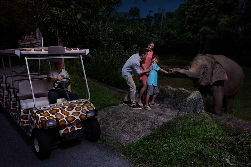 Singapore: Night Safari Entry Ticket with Tram Ride - Arriving at Mandai after sunset