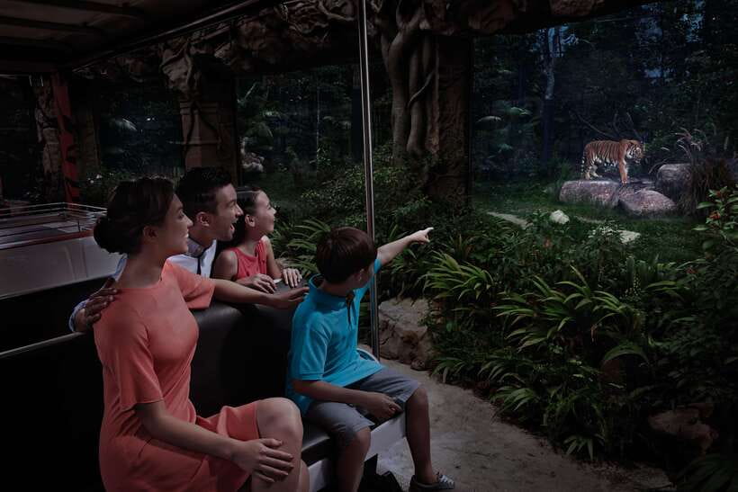 Singapore: Night Safari Entry Ticket with Tram Ride - Leopard Trail and the walking routes