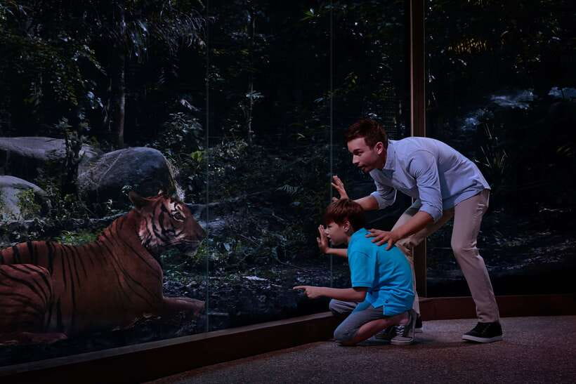 Singapore: Night Safari Entry Ticket with Tram Ride - Getting back after midnight