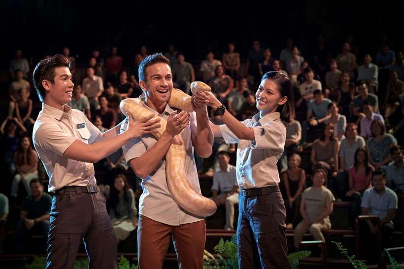 Singapore: Night Safari Singapore Entry Ticket + Tram Ride - Twilight fire performance under the stars