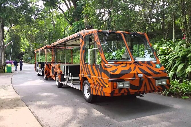 Singapore Zoo with Tram Ride Experience for Tourist - Why the Singapore Zoo tram ride matters