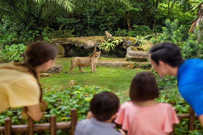 Singapore Zoo with Tram Ride Experience for Tourist - Shows, activities, food, and shops
