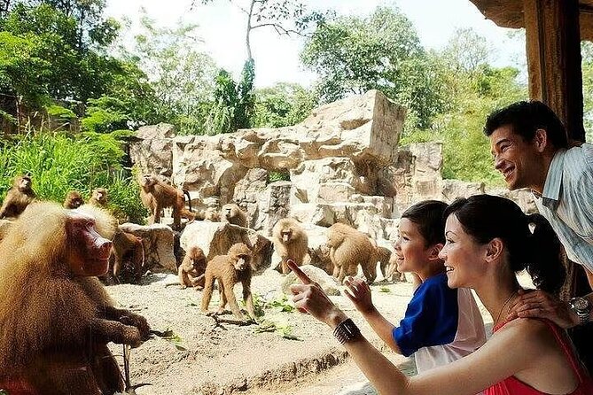 Singapore Zoo with Tram Ride Experience for Tourist - Entering a zoo with more than 2,800 animals