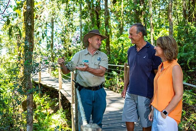 Skip the Line Kuranda Scenic Railway Gold Class and Skyrail Rainforest Cableway - Two ways to reach Kuranda