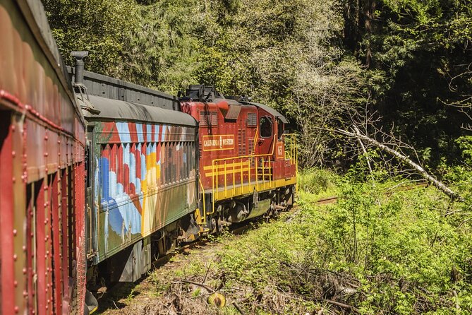 Skunk Train: Pudding Creek Express from Fort Bragg - Watching Birds Along the Estuary