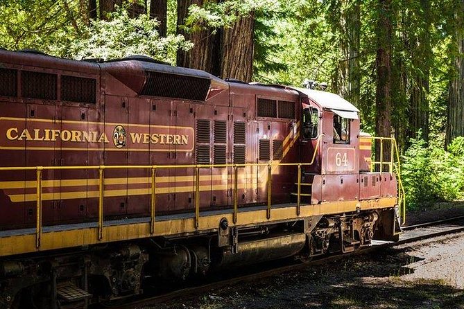 Skunk Train: Wolf Tree Turn from Willits - Key points to know before you go