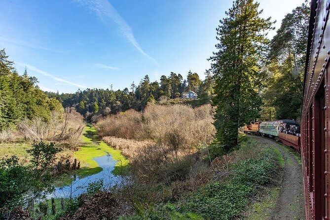 Skunk Train: Wolf Tree Turn from Willits - The 30-minute stop at Crowley