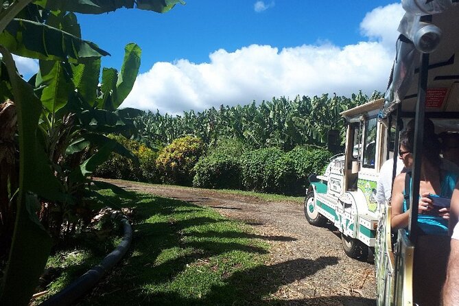 Small train tour of a banana farm in Martinique - Riding into Belfort’s banana country
