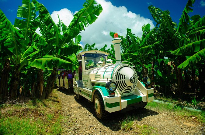 Small train tour of a banana farm in Martinique - Bruno’s guiding style