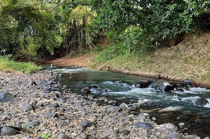 Small train tour of a banana farm in Martinique - The tasting at the end