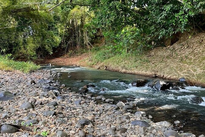 Small train tour of a banana farm in Martinique - Why the rainy-weather option matters