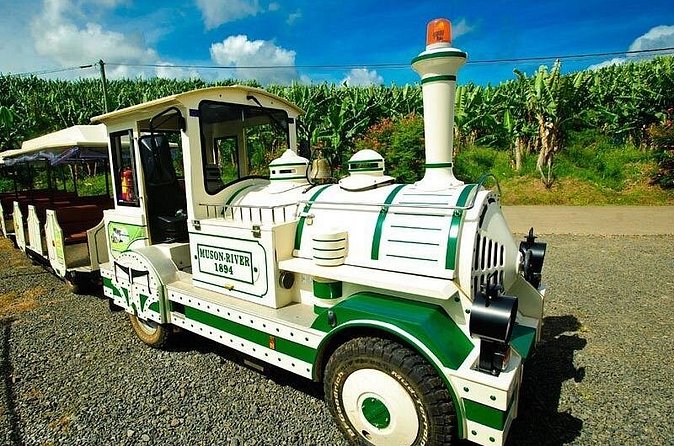 Small train tour of a banana farm in Martinique - Who will enjoy the Belfort farm tour