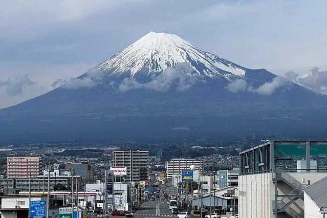 Snow Monkey Park and Miso Production Tour Bullet Train from Tokyo - Watching Japanese Macaques at the Hot Springs